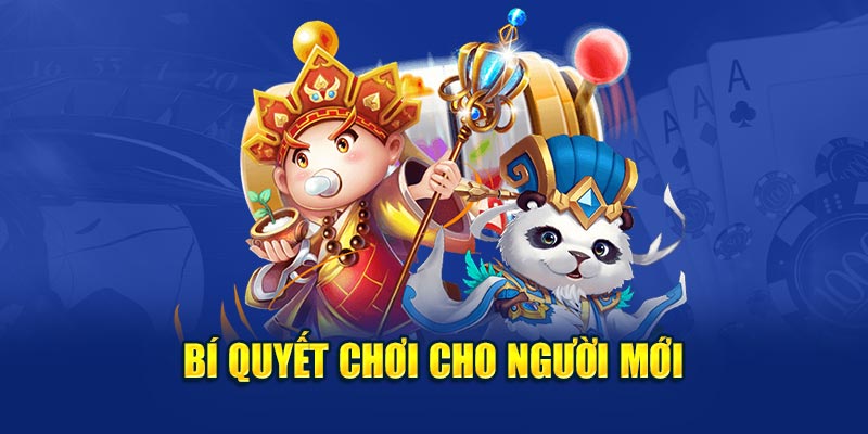 Bí quyết chơi cho người mới